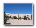 2003-09-20 White (57)